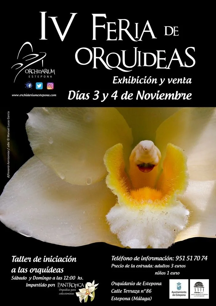 IV Feria de Orquídeas en Estepona 01