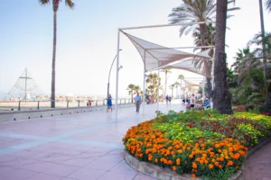 paseo