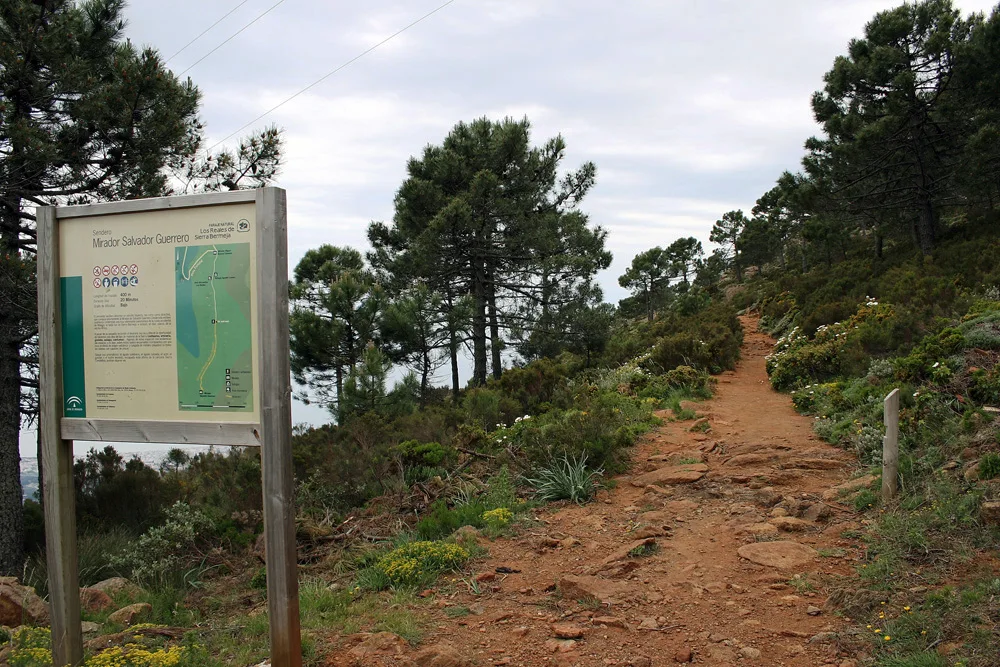Sierra Bermeja y sus rutas naturales, otra vista