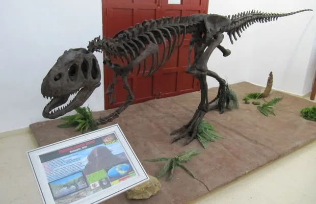 Museo Paleontológico de Estepona