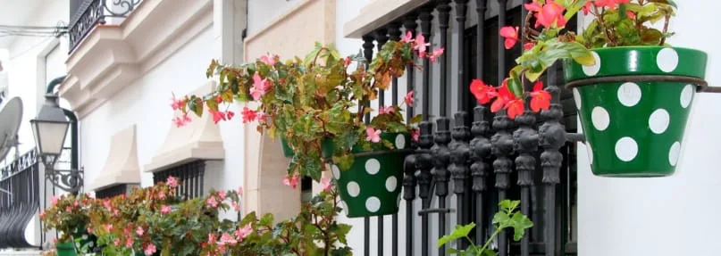 Ideas para pasar San Valentín en Estepona
