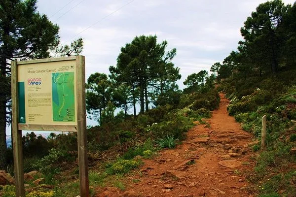rutas de senderismo en Estepona SENDERO PICO DE LOS REALES 01