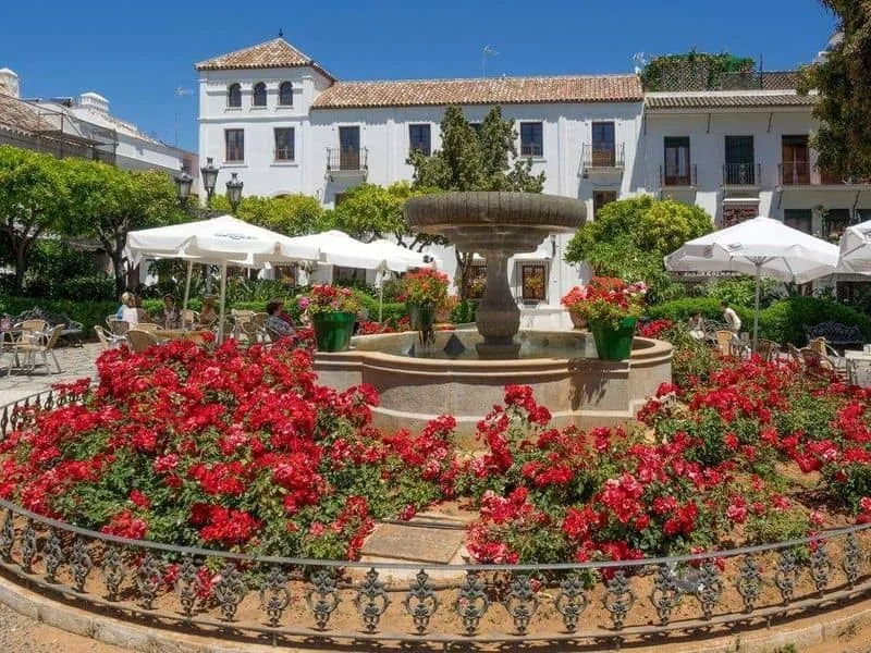 Donde tapear en Estepona en Navidad Mesón el Cordobes