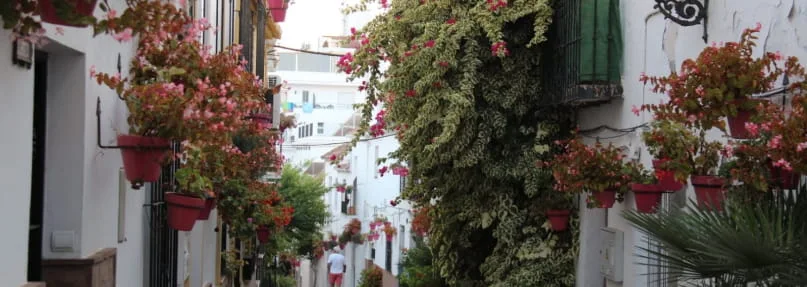 Turismo en Estepona: Ruta Urbana de 4 horas