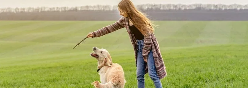 ¿Se puede pasear o hacer deporte con tu mascota en la Fase 0?