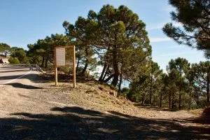 Sierra Bermeja y sus rutas naturales, otra vista
