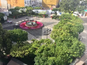 paseo