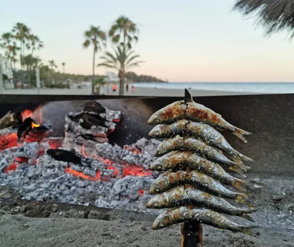 donde comer en estepona
