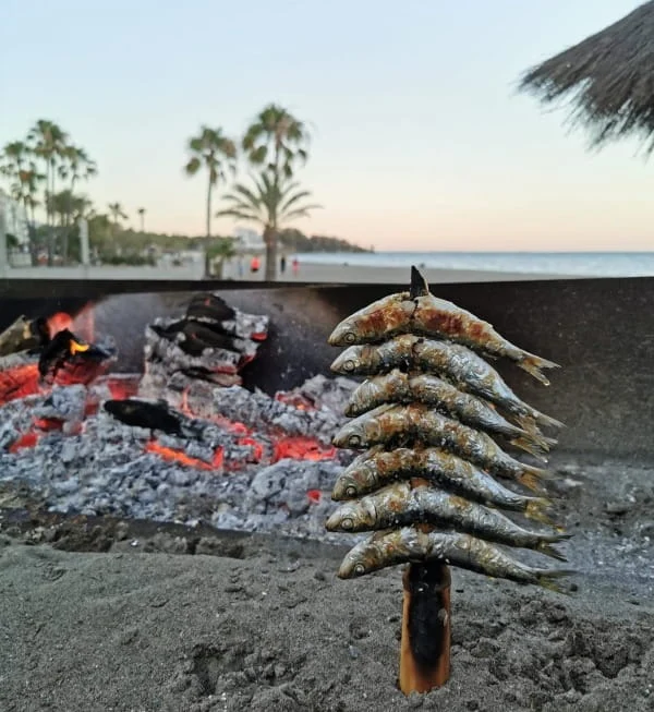 Espetos de sardinas en Estepona