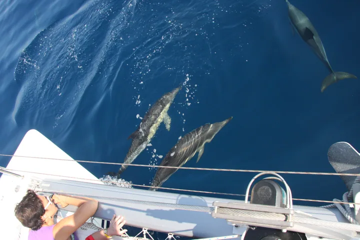 Catamaranes Estepona