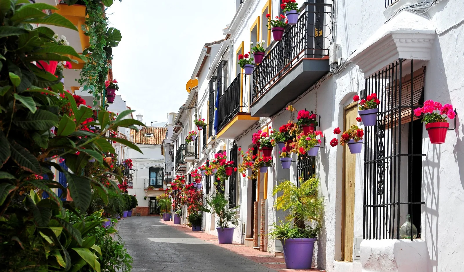 Ruta Rincones con Encanto