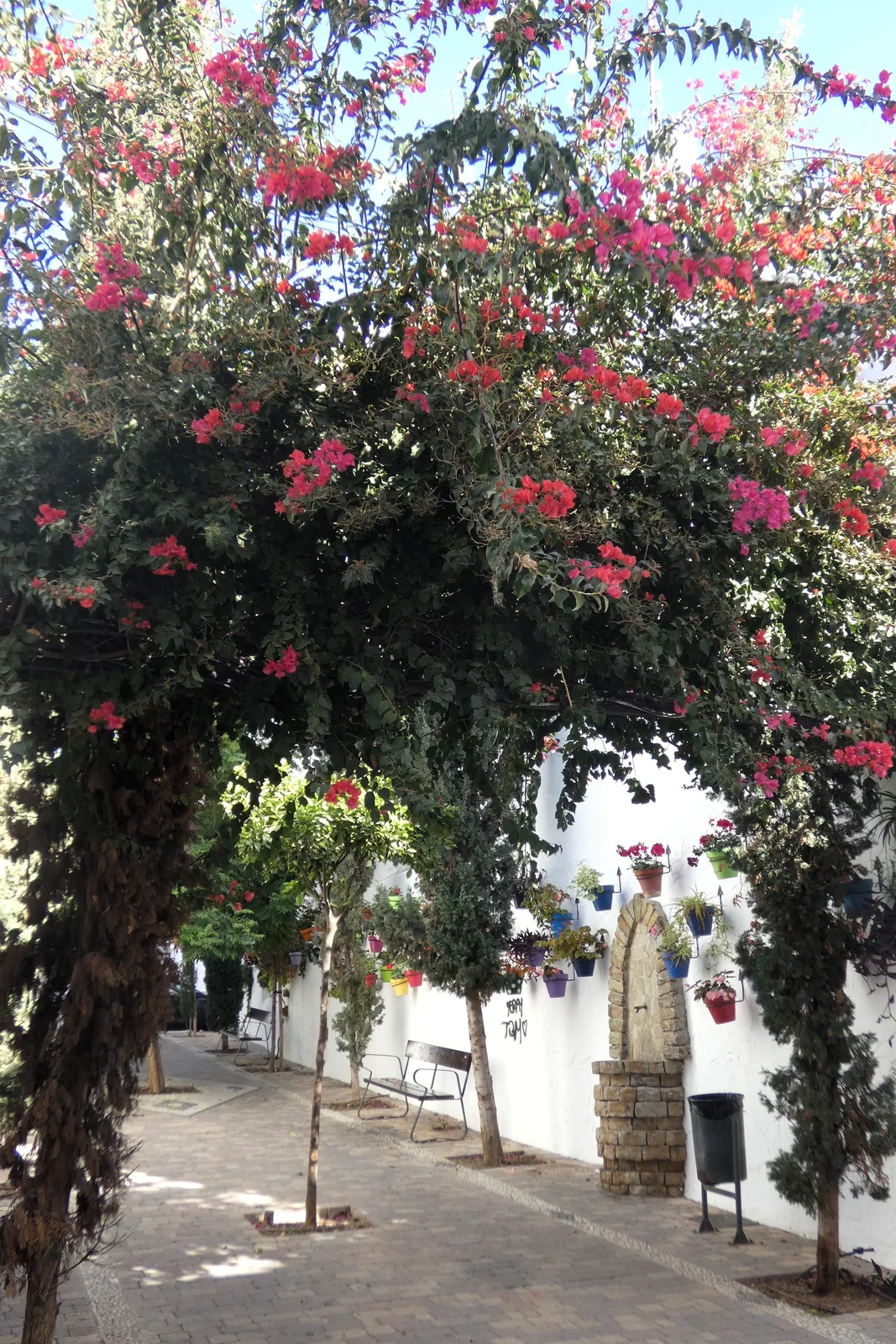 Pasaje Alicia Padierna, otra vista