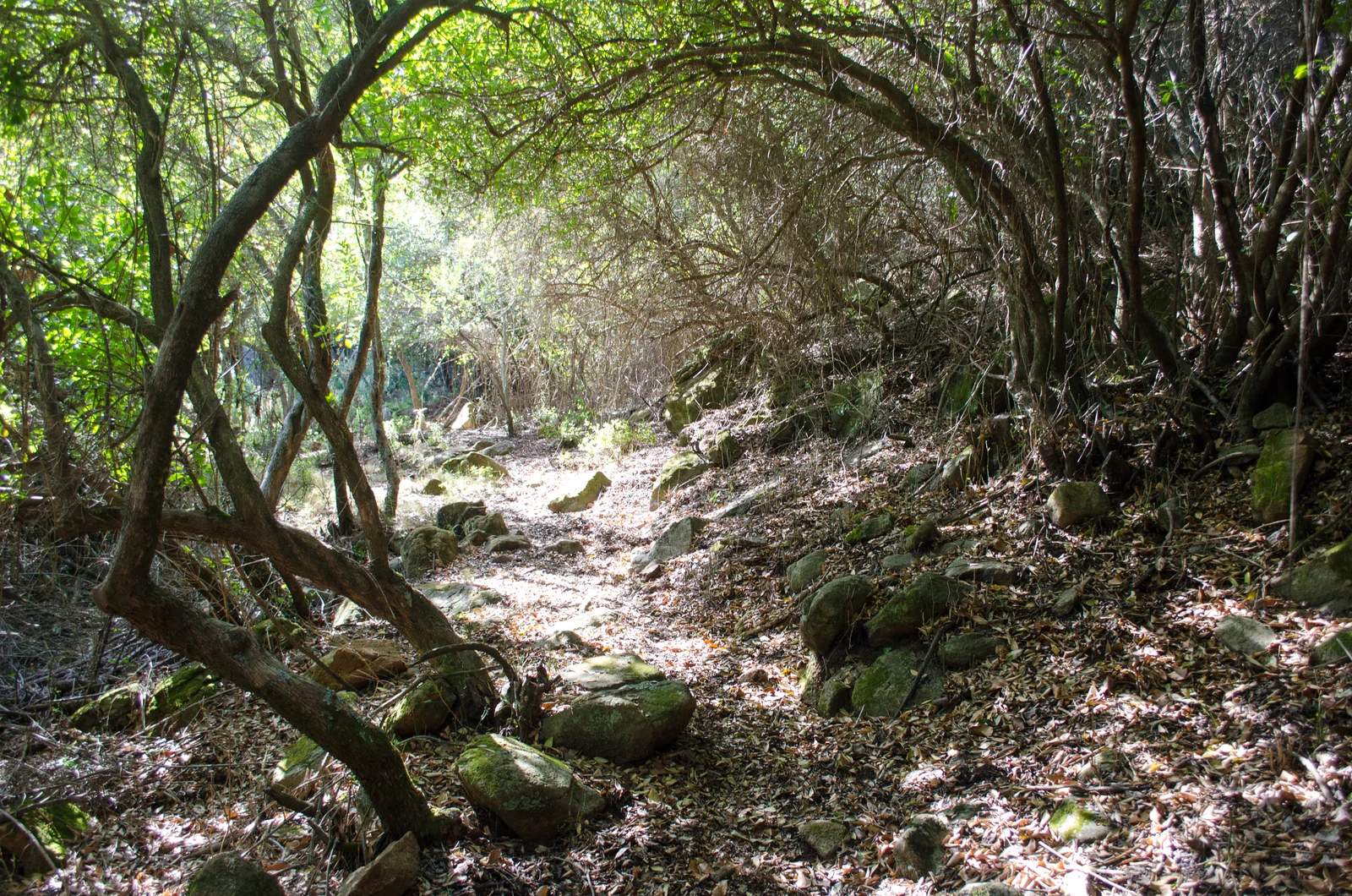 Ruta Fuente «El Porrejón», otra vista