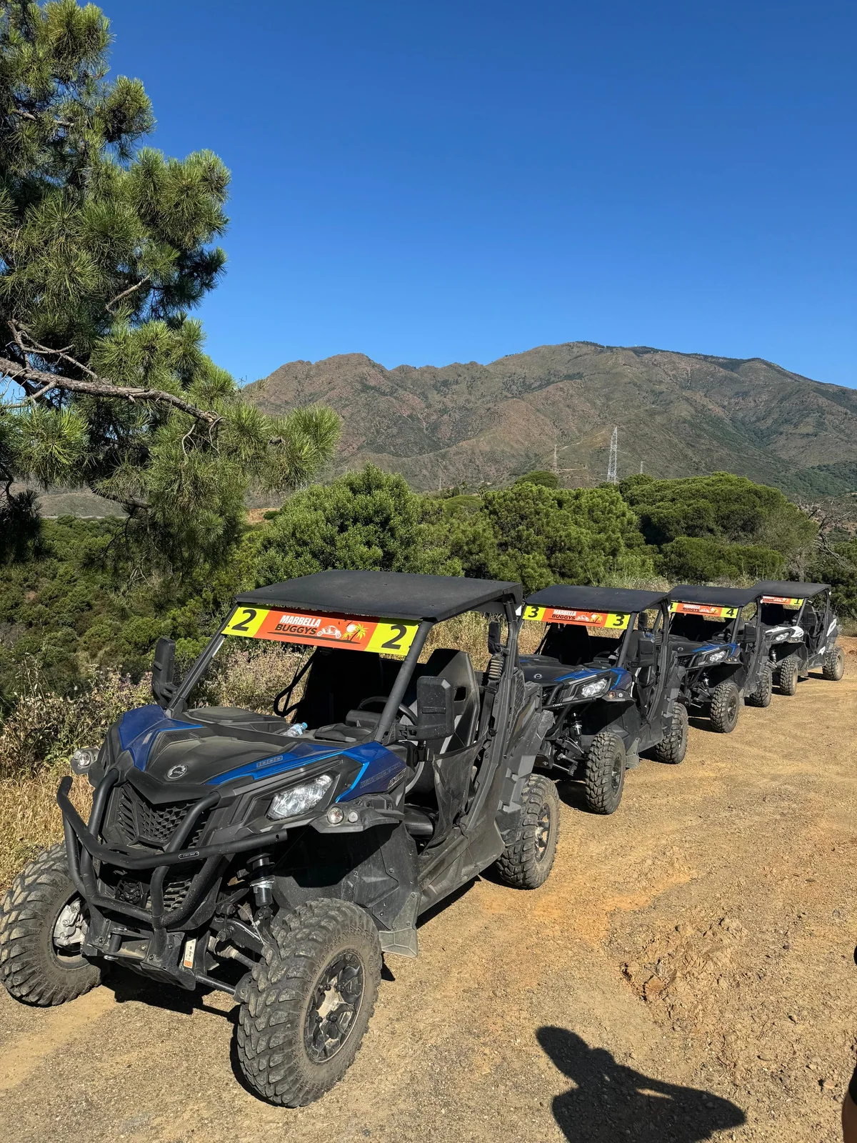 Marbella Buggys, otra vista