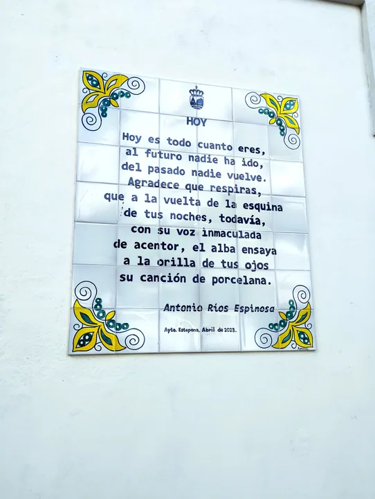 Hoy