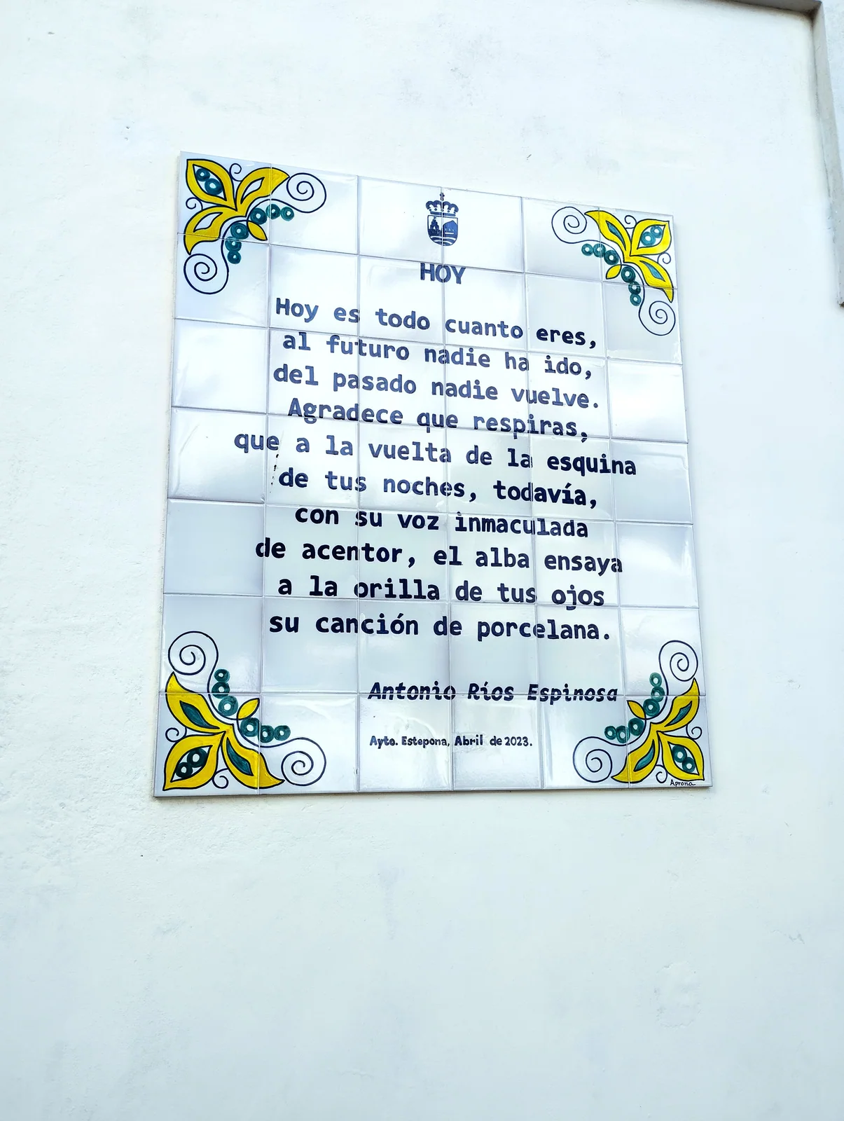 Hoy