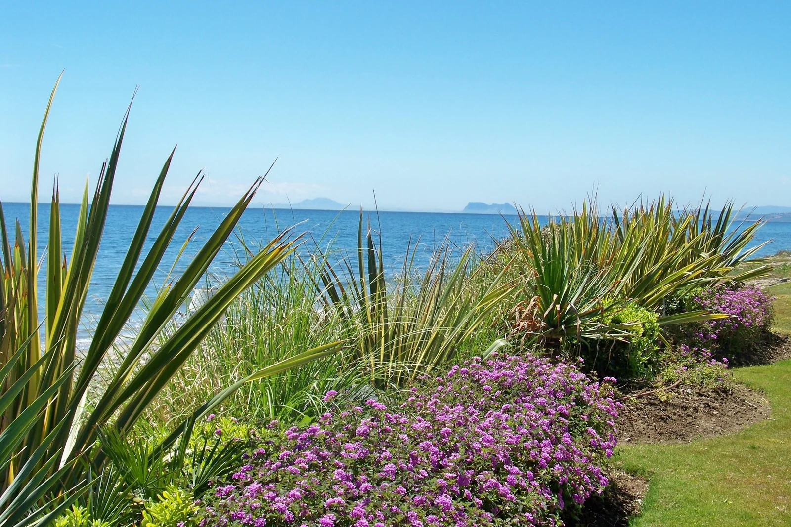Playa de Punta Pinillos, otra vista