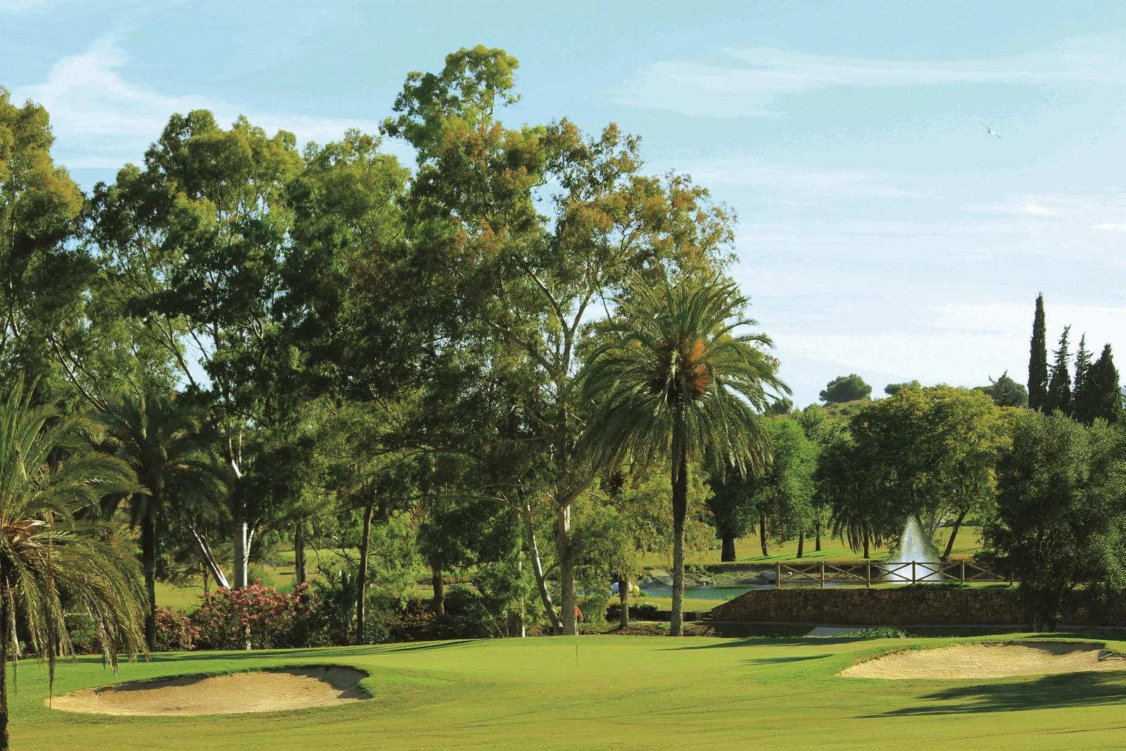 El Paraíso Golf Club (18 hoyos), otra vista