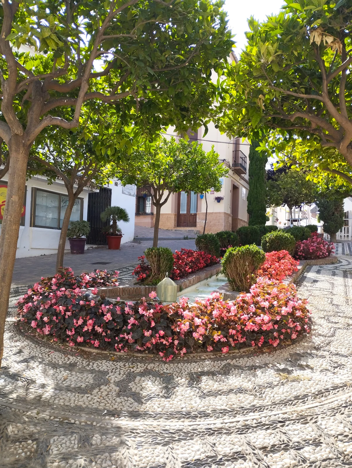 Plaza Manuel Alcántara, otra vista