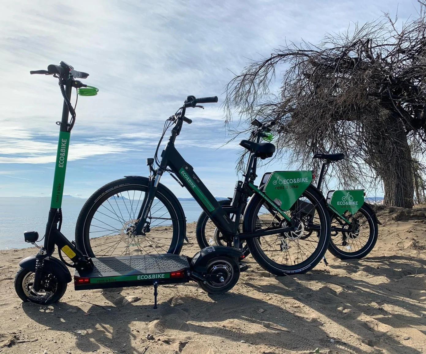 Eco&Bike (Alquiler de bicis), otra vista