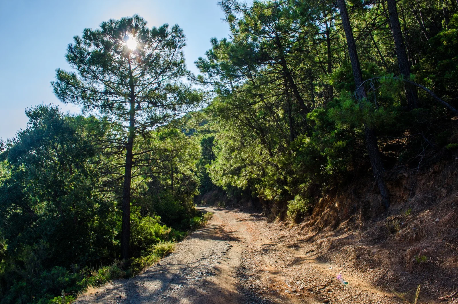 Ruta Camino Nicola Casa Los Guardas