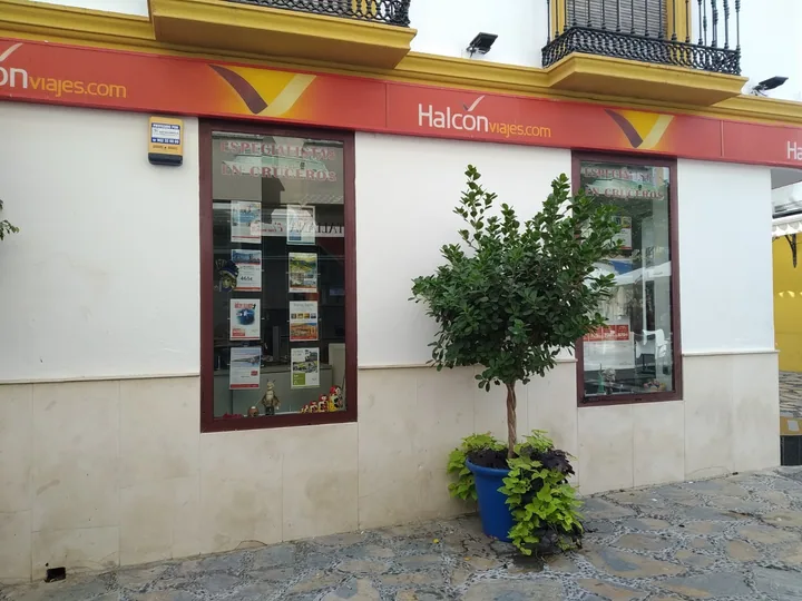 Halcón Viajes Estepona