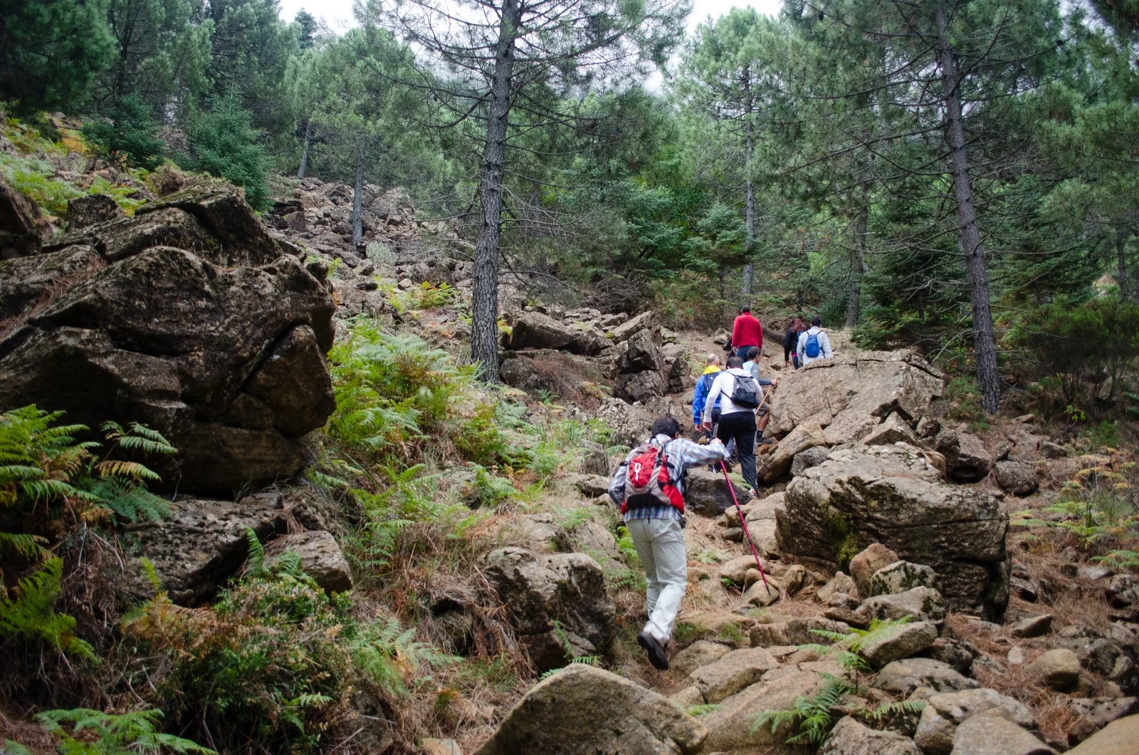 Ruta Paseo de los Pinsapos, otra vista