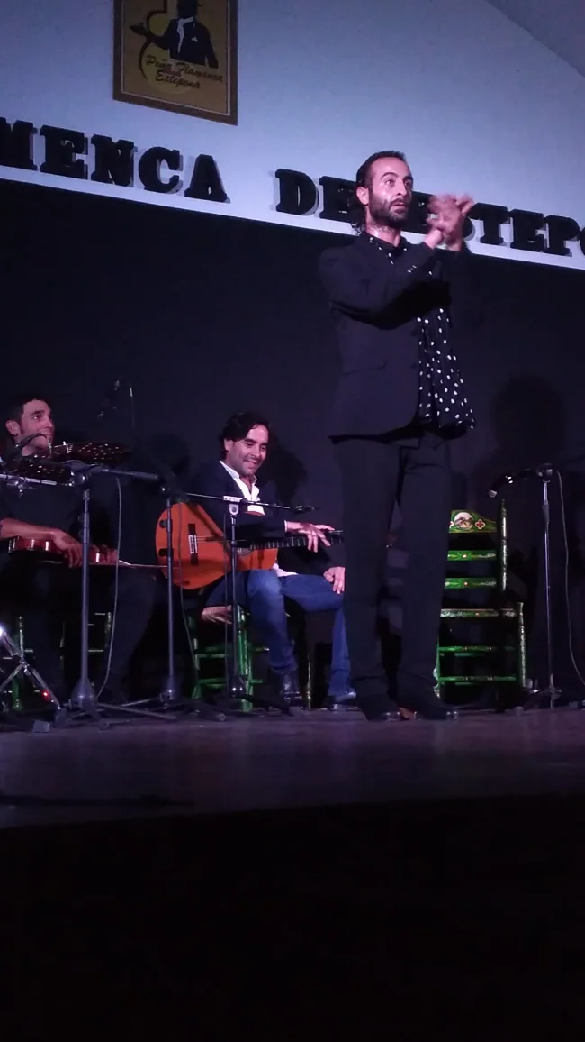 Flamenco – Peña Flamenca de Estepona, otra vista