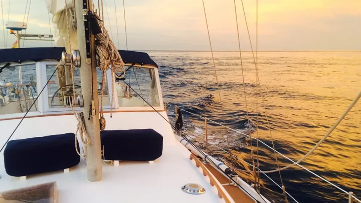 Sail Toro Charter