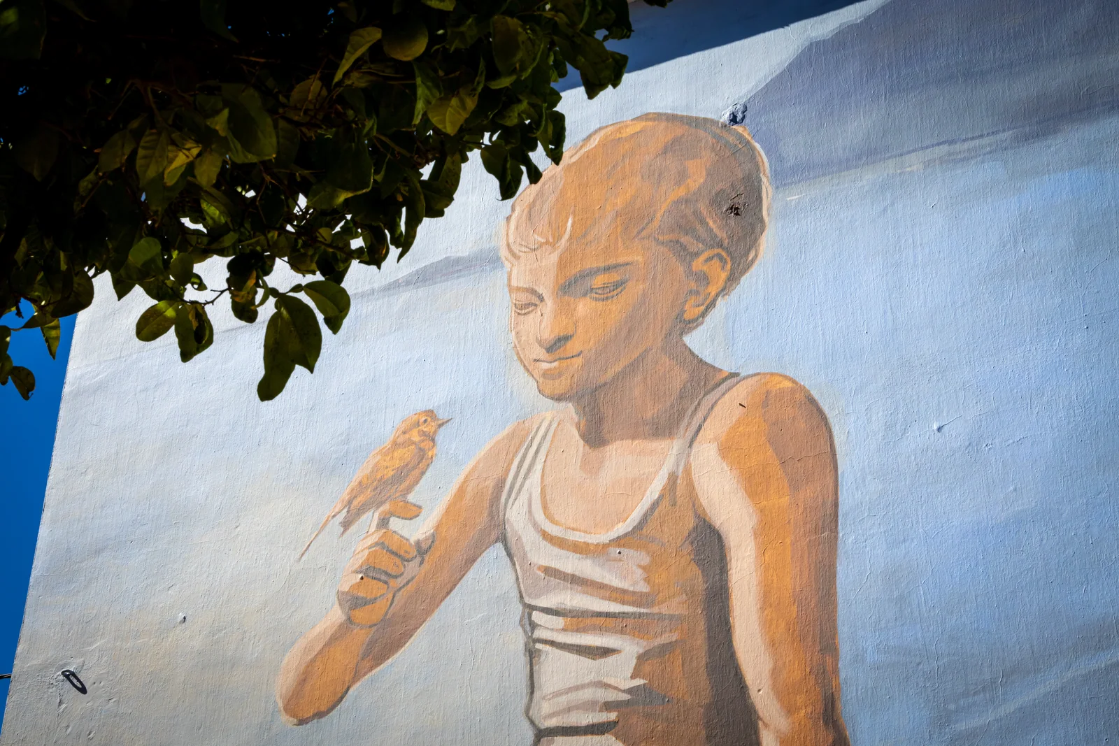 Niño y Gorrión
