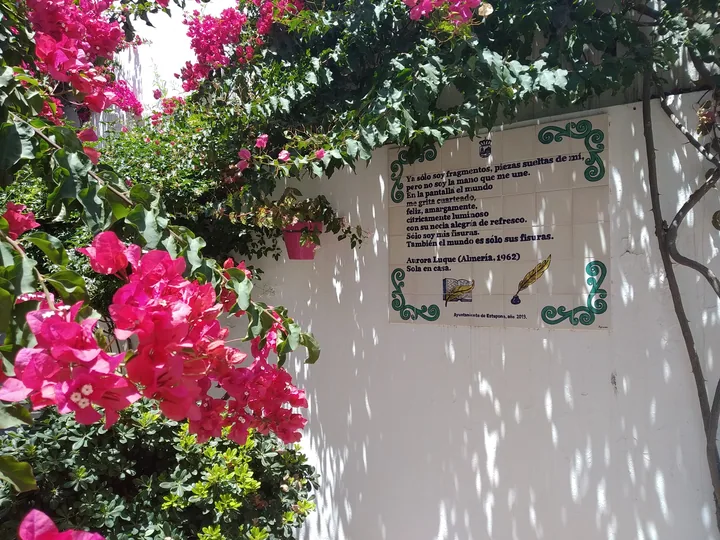 Sola en casa