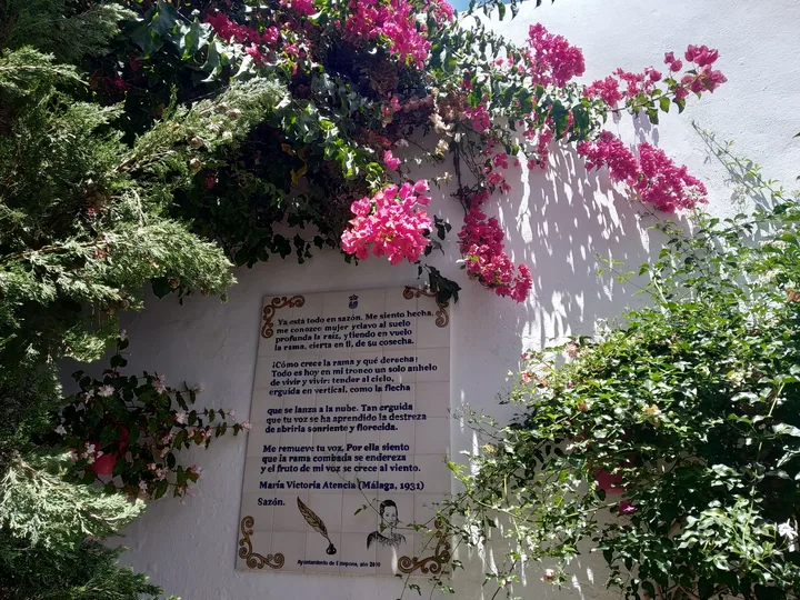 Sazón