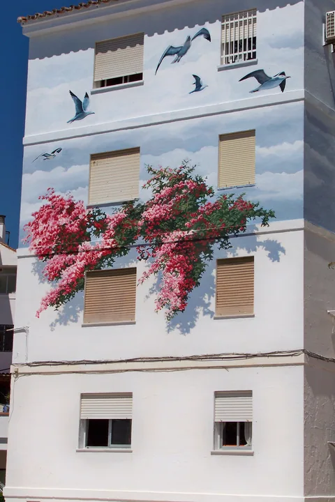 Reflejos del jardín
