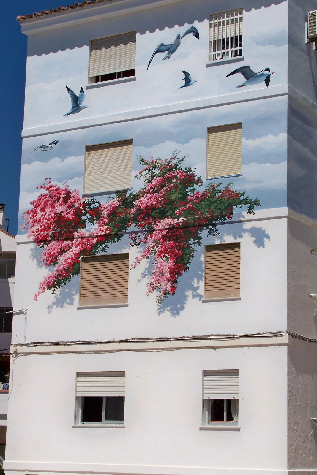 Reflejos del jardín