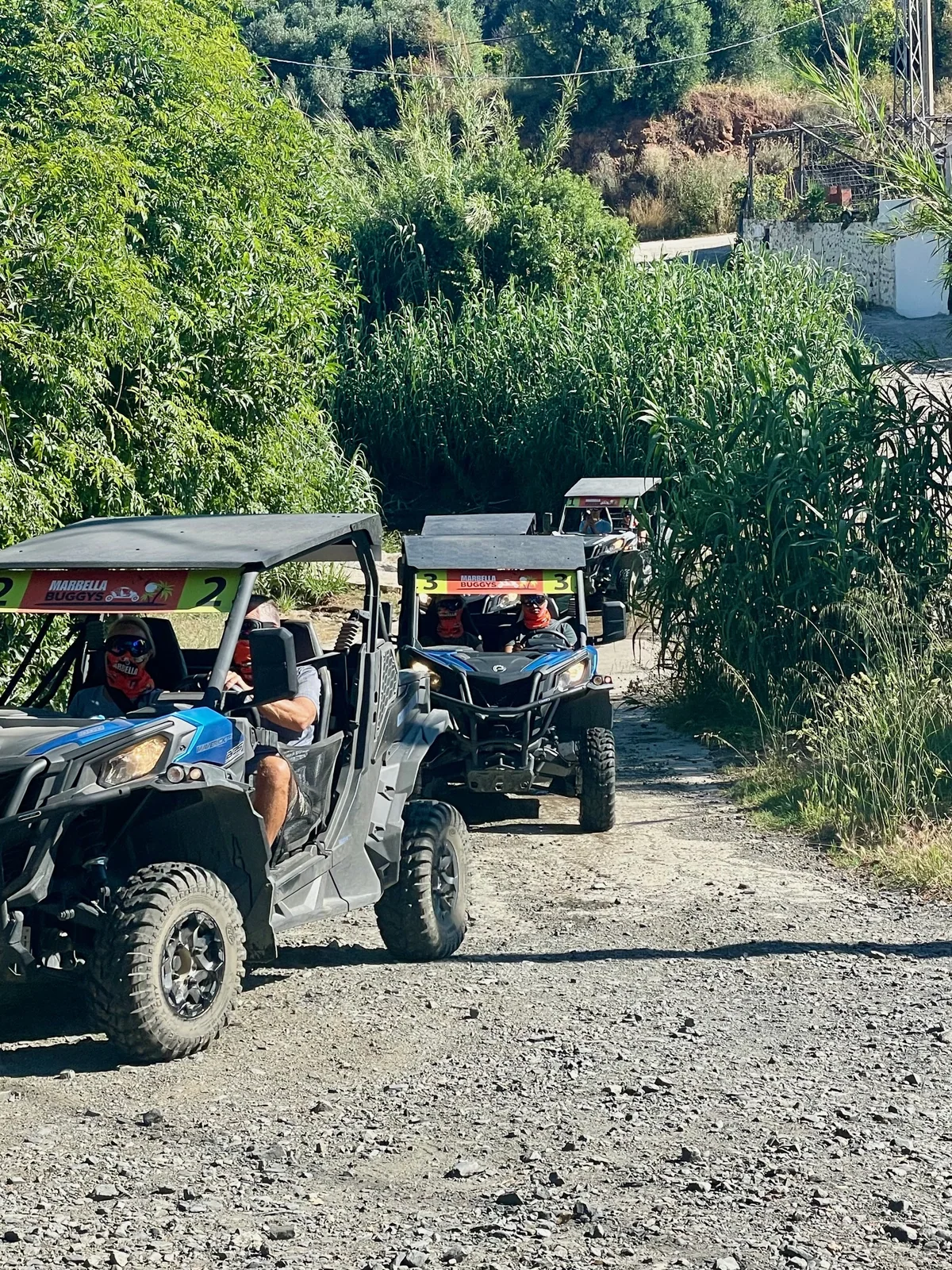 Marbella Buggys
