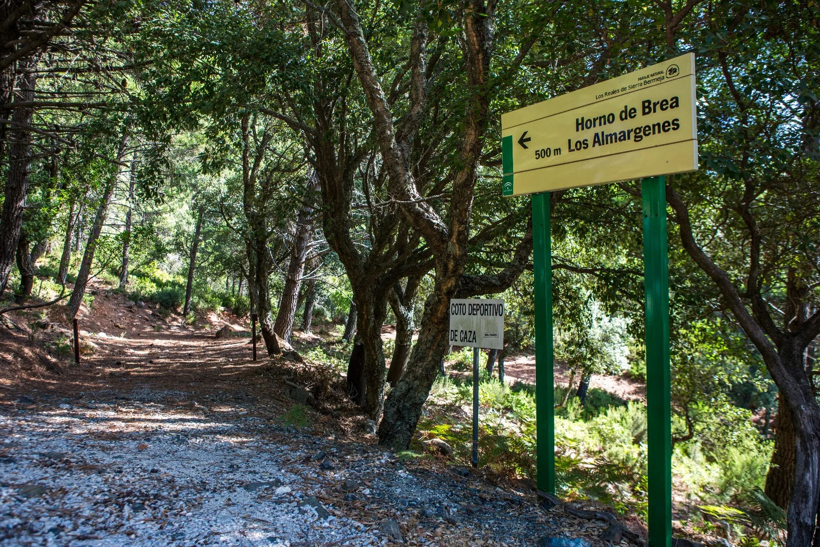 Ruta Horno de Brea de los Almárgenes